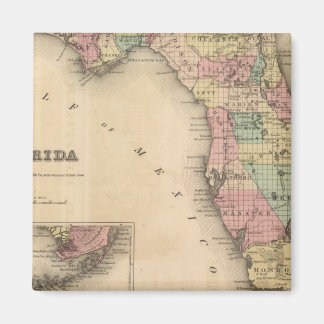 Imán Florida 6