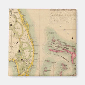 Imán Florida 62