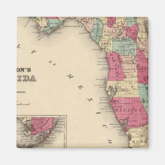 Imán Florida 7