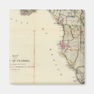 Imán Florida 8