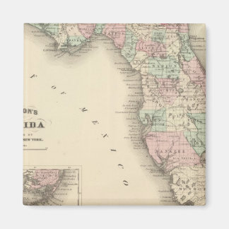 Imán Florida 9