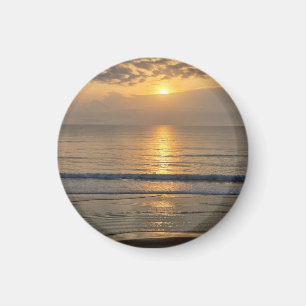 Imán Florida Beach Coaster