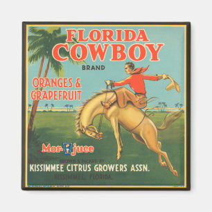 Imán Florida Cowboy