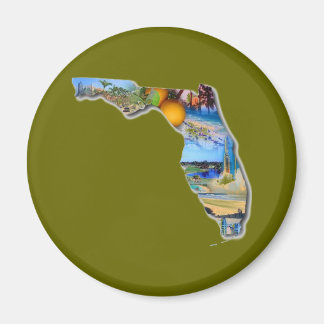 IMÁN FLORIDA - EL ESTADO DE SUNSHINE