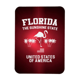 Imán Florida El Estado Del Sol