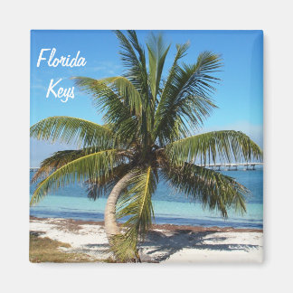 Imán Florida Keys Bahia Honda State Park Palm Magnet
