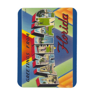 Imán Florida, Lakeland Magnet