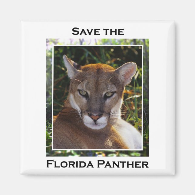 Imán Florida Panther (Frente)