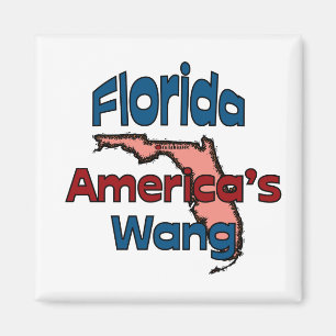 Imán Florida State Motto ~ Wang de Estados Unidos