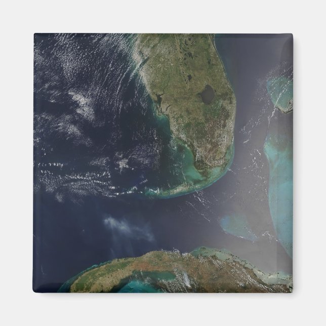 Imán Florida y Cuba (Frente)