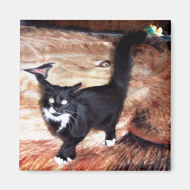 IMÁN FLOSSIE (Frente)