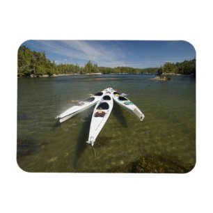 Imán Flota de kayak en reposo durante la tarde en