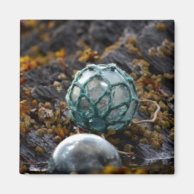 Imán Flota pesquera en piscina de marea, Alaska (Frente)