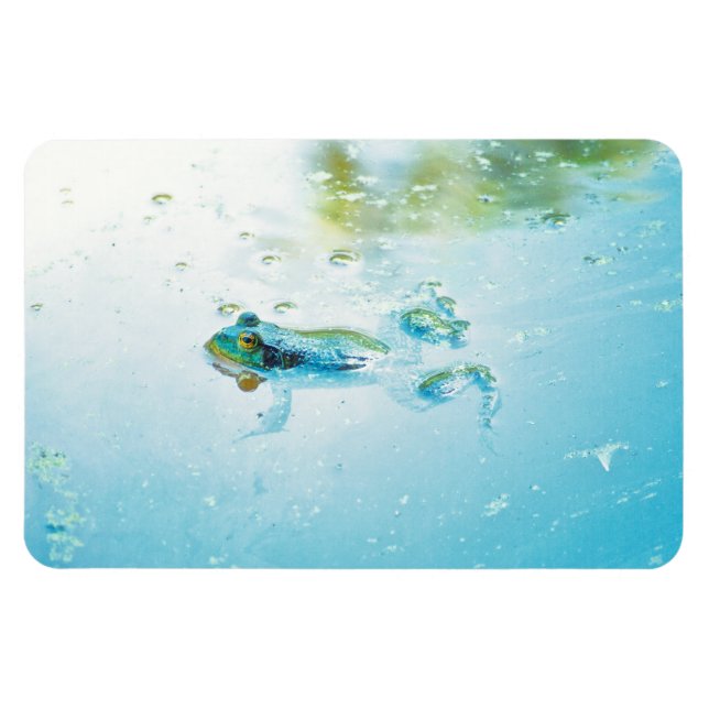 Imán Flotante (Horizontal)