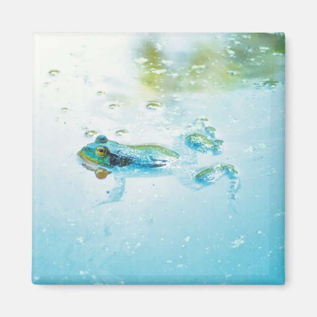 Imán Flotante (Frente)