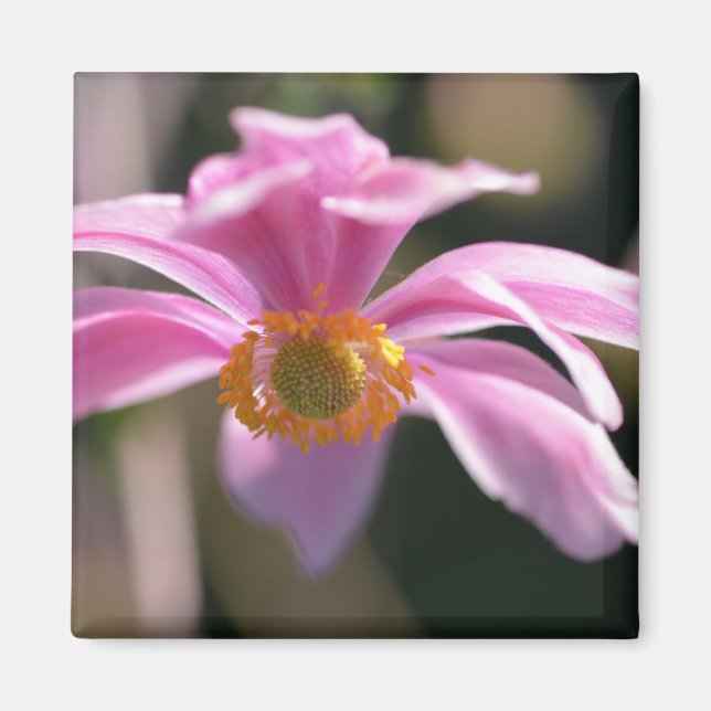 Imán Flower (Frente)