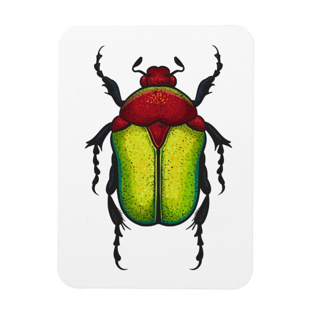 Imán Flower beetle (Vertical)