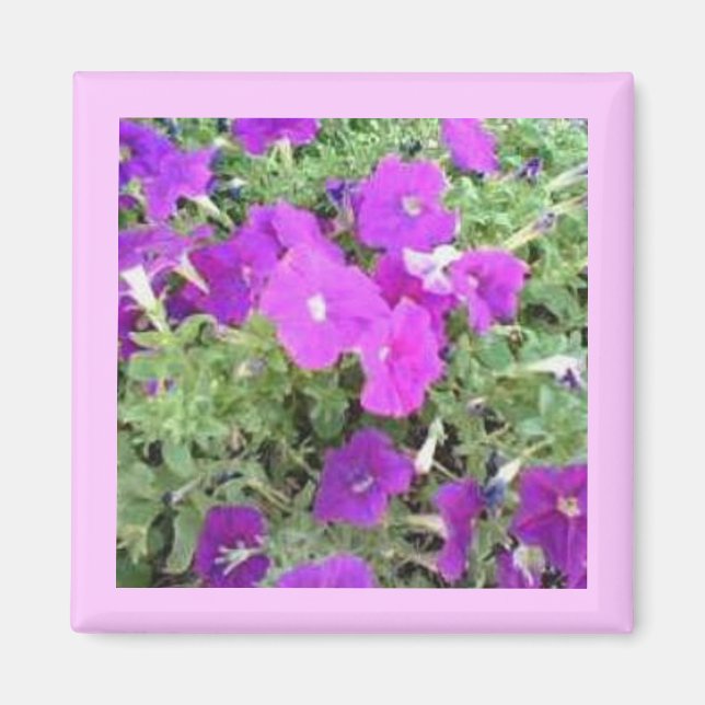 Imán Flower Garden Magnet (Frente)