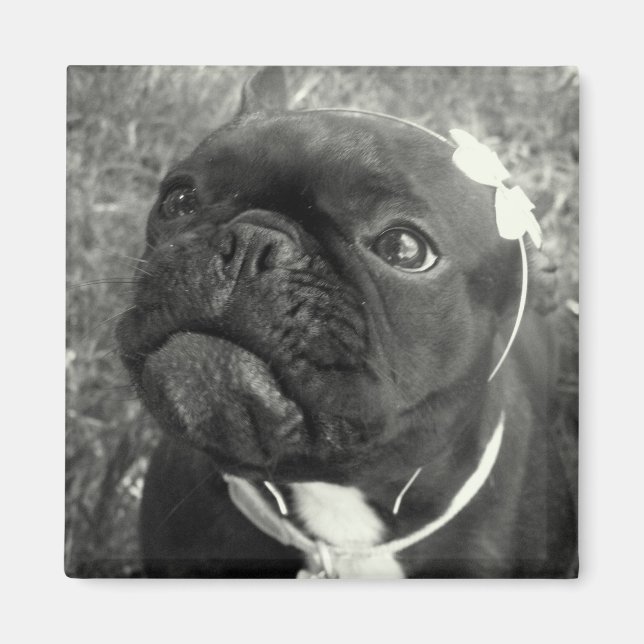 Imán Flower Girl Magnet (Frente)