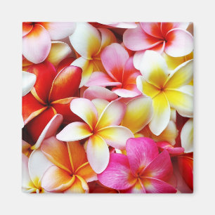 Imán Flower Hawaii Personalizada Plumeria Frangipani