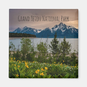 Imán Flowers at Colter Bay