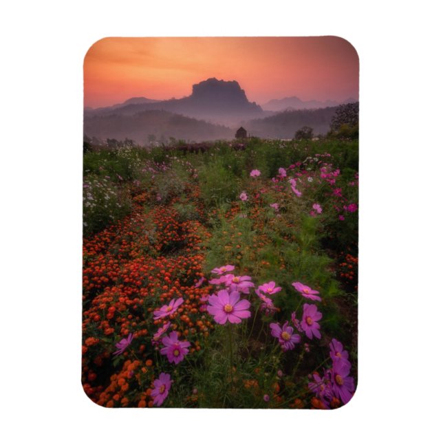 Imán Flowers | Chiang Dao, Chiang Mai, Thailand (Vertical)