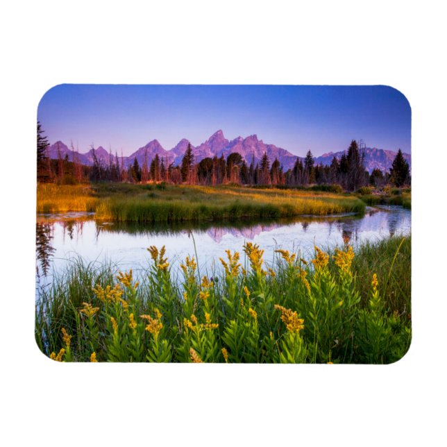 Imán Flowers | Grand Teton National Park, Wyoming (Horizontal)