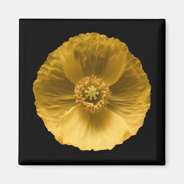 Imán Flowers | Yellow Poppy (Frente)