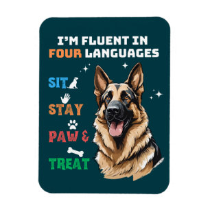 Imán Fluent In Four Languages: Sit, Stay, Paw Y Treat