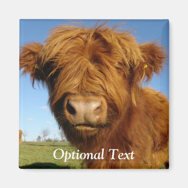 Imán Fluffy Scottish Highland Cow - Blue Sky (Frente)