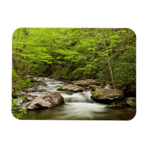 Imán Flujos de horquilla recta a través del bosque