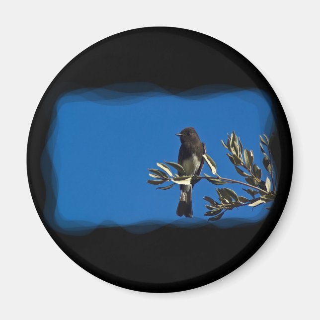 Imán Fly Catcher (Frente)