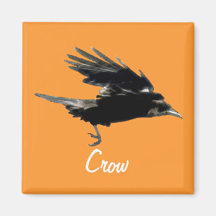 Imán Flying Black Crow Birdlover Magnet