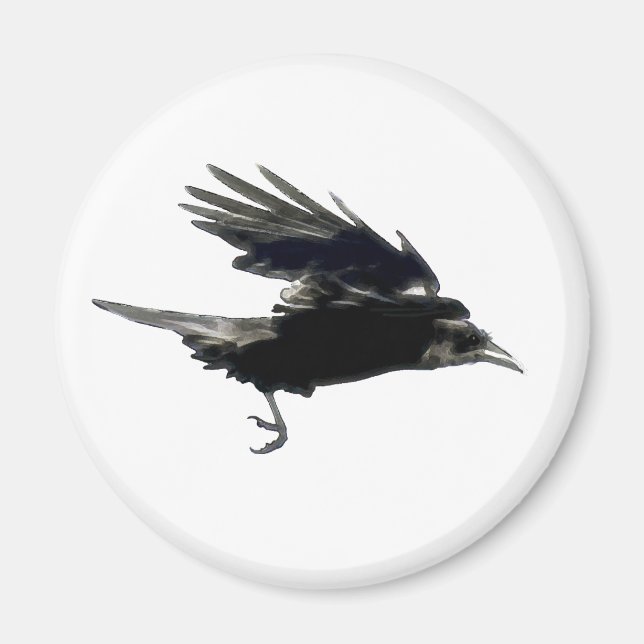 Imán Flying Black Crow Birdlover Magnet (Frente)