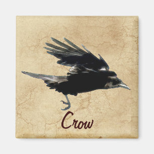 Imán Flying Crow Birdlover Willife Supporter Magnet