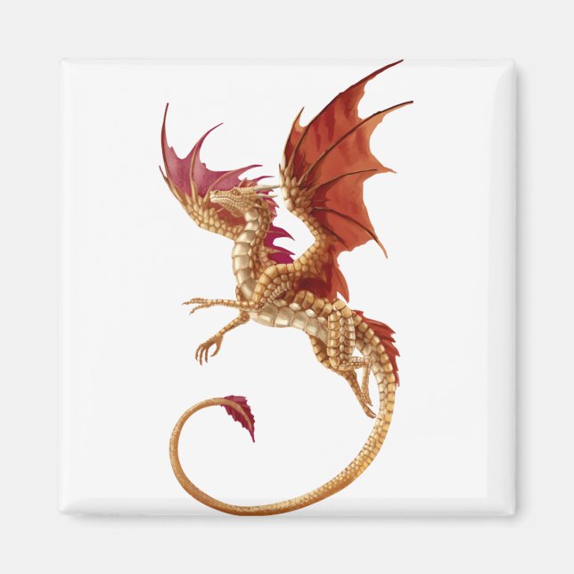 Imán flying dragon (Frente)