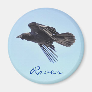 Imán Flying Raven en Blue Sky HDR Photo Design