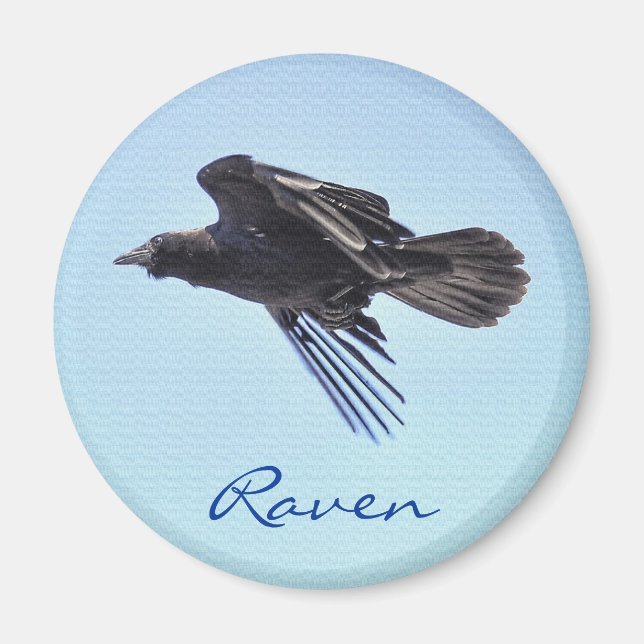 Imán Flying Raven en Blue Sky HDR Photo Design (Frente)