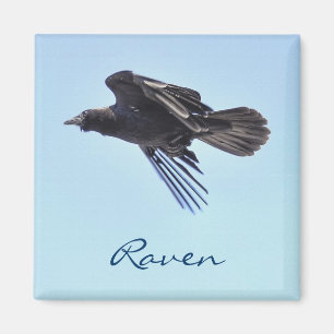 Imán Flying Raven en Blue Sky HDR Photo Design