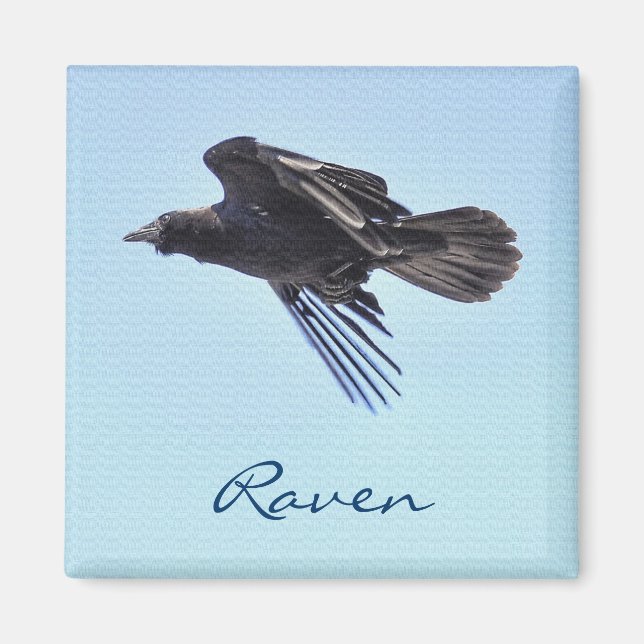 Imán Flying Raven en Blue Sky HDR Photo Design (Frente)