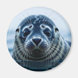 Imán Foca linda de cerca