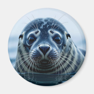 Imán Foca linda de cerca