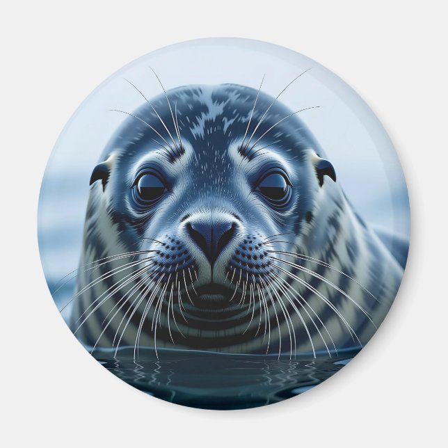 Imán Foca linda de cerca (Frente)