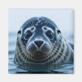 Imán Foca linda de cerca