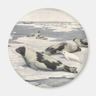 Imán Focas Arpa Antiguas en Nieve Ártica por Louis Fuer