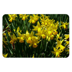 Imán Focos amarillos y flores de primavera alegres