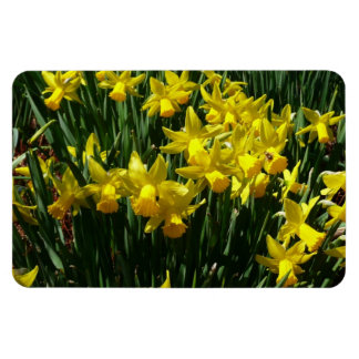 Imán Focos amarillos y flores de primavera alegres