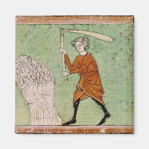 Imán Fol.59r agosto: Trigo de trilla