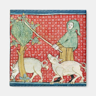 Imán Fol.59v noviembre: Acopio de las bellotas