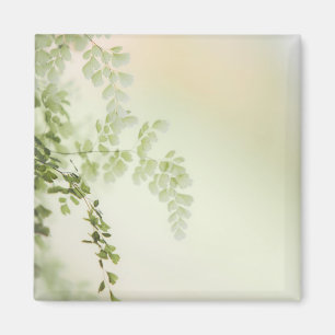 Imán Foliage de primavera